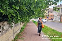 Заросли над тротуаром в центре Кинешмы скоро накроют и дорогу