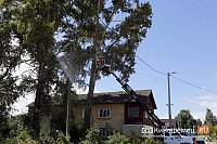 На ул.Костромской спиливают, возможно, самые высокие аварийные тополя в Кинешме