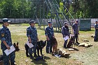 Кинологи ИК-4 стали призерами региональных соревнований УФСИН