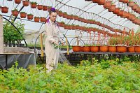 Стартовал приём документов на конкурс по получению фермерских грантов