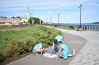 В Кинешме волонтёры нанесли разметку на велодорожке на Стрелке