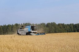 В Кинешемском районе идет кормозаготовительная кампания