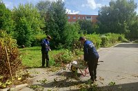Кинешемские подростки трудятся на благо города