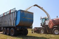 Заготовительная кампания в Ивановской области преодолела экватор