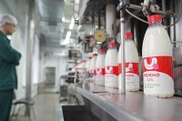 Производство молока в Ивановской области выросло более чем на треть