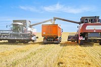 Аграрии Ивановской области получили более половины средств поддержки