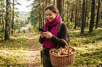 4 совета, где в Ивановской области искать грибы, если не знаете мест