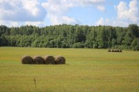 В Кинешемском районе подводят итоги уборочной кампании