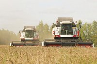 На первую декаду октября ивановские аграрии собрали 134 тыс. тонн зерна