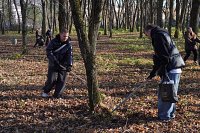 Молодежь Кинешмы навела порядок в парке на улице Менделеева