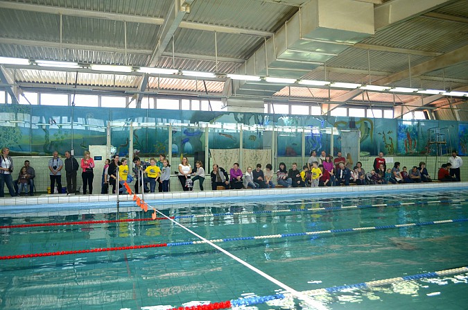 В Наволоках прошел заключительный этап кубка города по плаванию фото 5