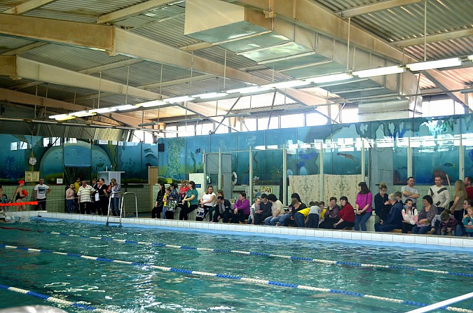 В Наволоках прошел заключительный этап кубка города по плаванию фото 6