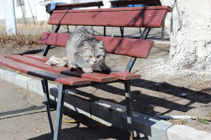 Инвалиды Кинешмы вместе с добровольцами провели субботник фото 10