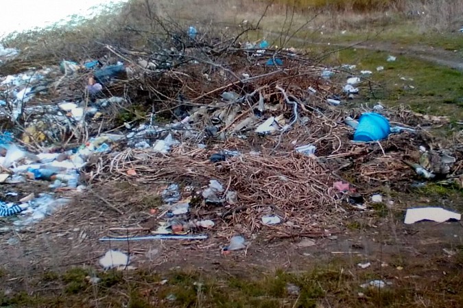 Не все кинешемцы спешат на субботники фото 3