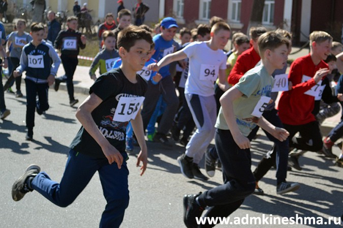 В пробеге маршала Василевского в Кинешме приняли участие более 700 человек фото 31