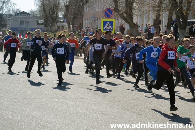 В пробеге маршала Василевского в Кинешме приняли участие более 700 человек фото 37