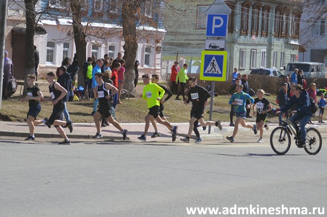 В пробеге маршала Василевского в Кинешме приняли участие более 700 человек фото 34