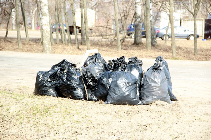 Кинешемцы навели чистоту в парке на улице Василевского фото 9