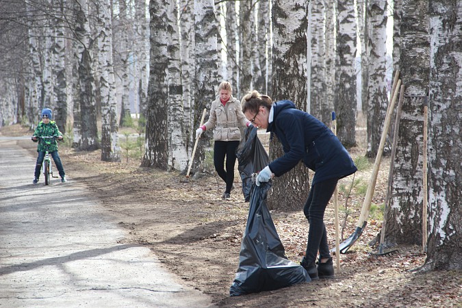 Кинешемцы навели чистоту в парке на улице Василевского фото 8