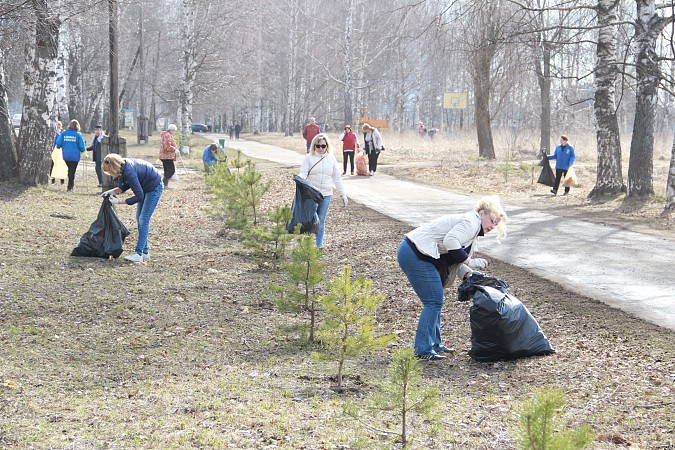 Кинешемцы навели чистоту в парке на улице Василевского фото 4
