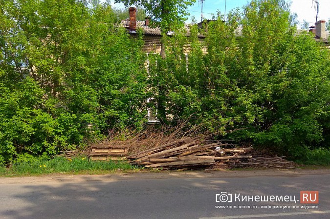 Крупногабаритный мусор с улиц и из дворов Кинешмы должен вывозить регоператор фото 6