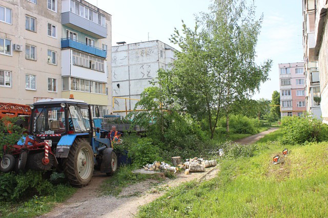 Фото: пресс-служба администрации Кинешмы