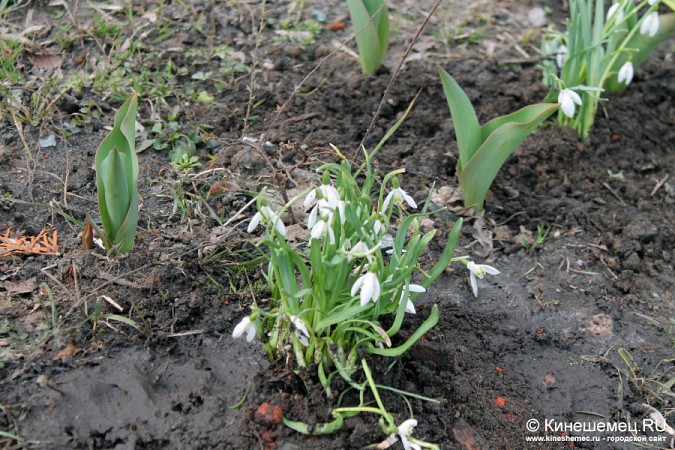 Мемориал воинов-интернационалистов в Кинешме засиял чистотой фото 12