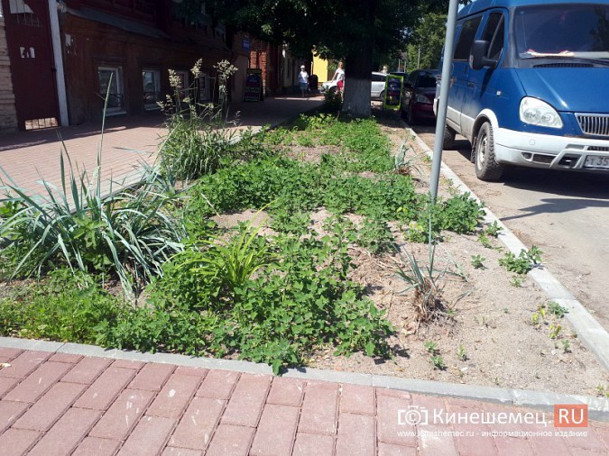 Туристы в центре Кинешмы вынуждены лицезреть убогие газоны фото 13