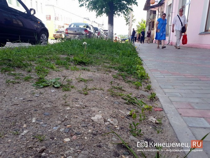 Туристы в центре Кинешмы вынуждены лицезреть убогие газоны фото 6