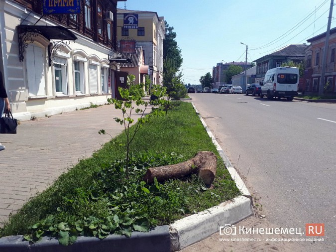 Туристы в центре Кинешмы вынуждены лицезреть убогие газоны фото 22