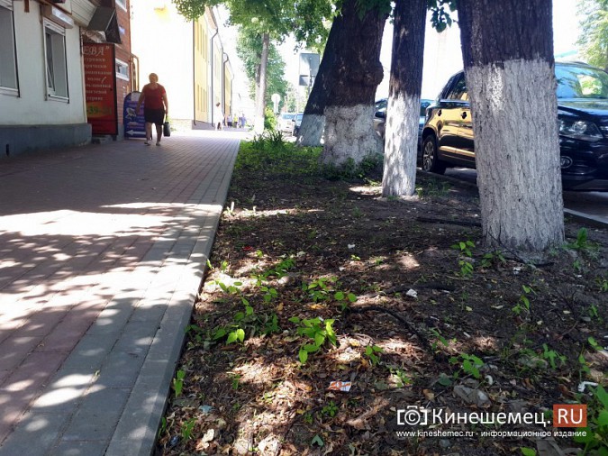 Туристы в центре Кинешмы вынуждены лицезреть убогие газоны фото 14
