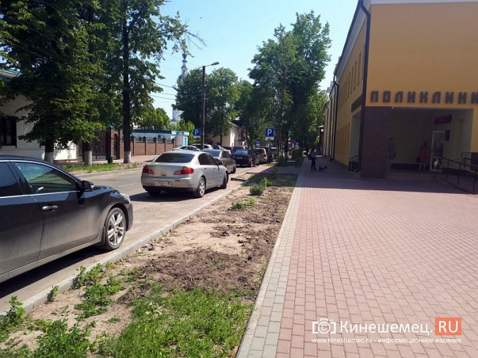 Туристы в центре Кинешмы вынуждены лицезреть убогие газоны фото 17