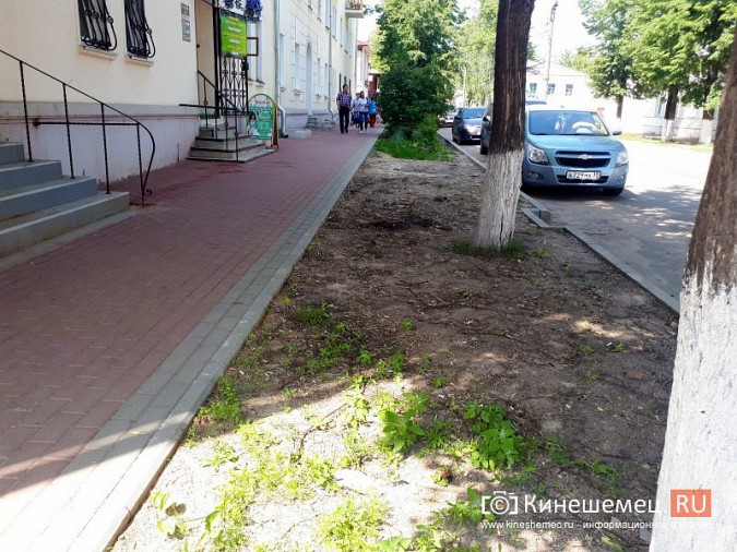 Туристы в центре Кинешмы вынуждены лицезреть убогие газоны фото 11