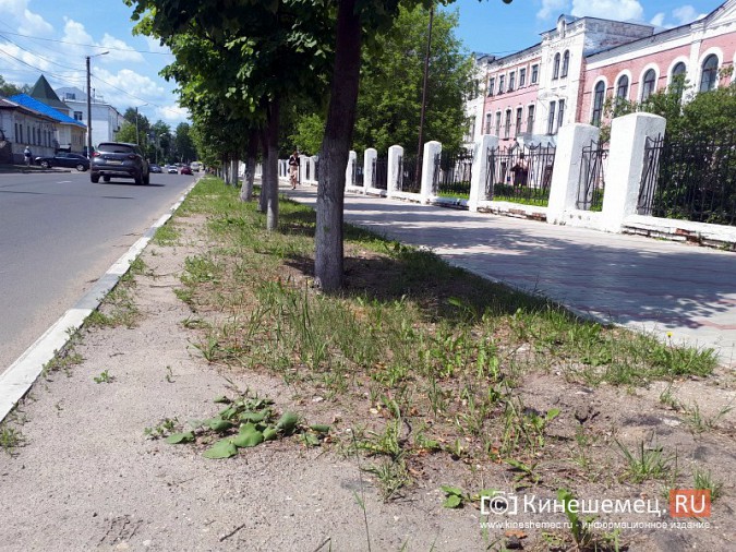 Туристы в центре Кинешмы вынуждены лицезреть убогие газоны фото 19