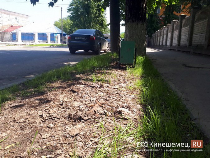 Туристы в центре Кинешмы вынуждены лицезреть убогие газоны фото 18