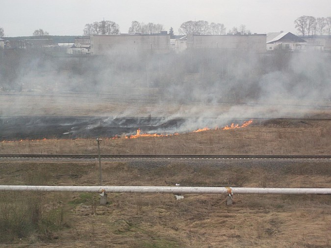 С сухостоя огонь переметнулся на амбар в Кинешме фото 3