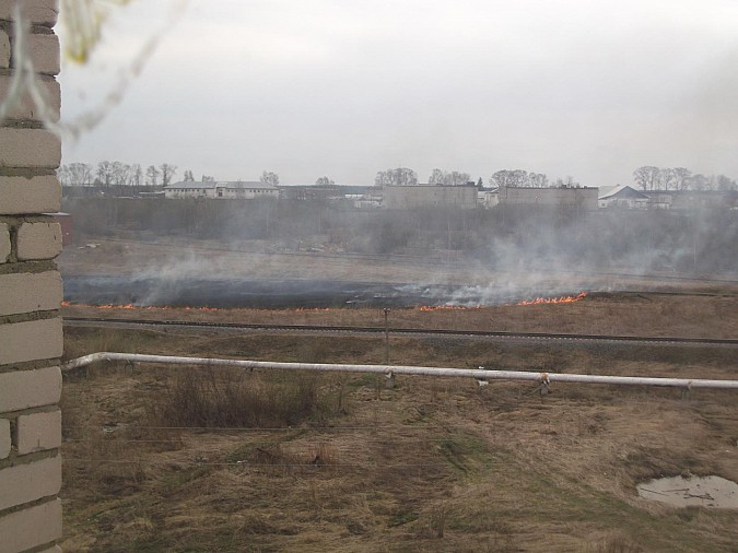 С сухостоя огонь переметнулся на амбар в Кинешме фото 2