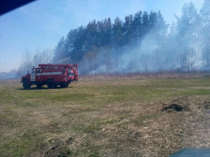 Кинешемские пожарные спасли от огня лес фото 5