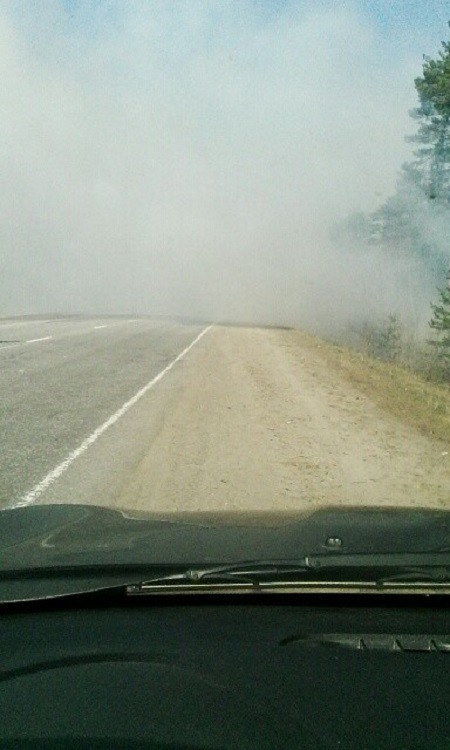 Кинешемские пожарные спасли от огня лес фото 2