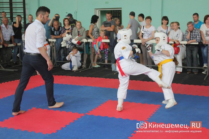 В Кинешме прошел открытый Чемпионат города по карате фото 27
