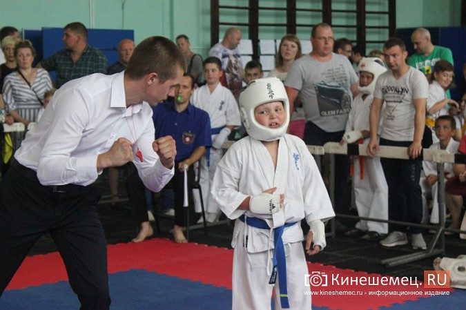 В Кинешме прошел открытый Чемпионат города по карате фото 35