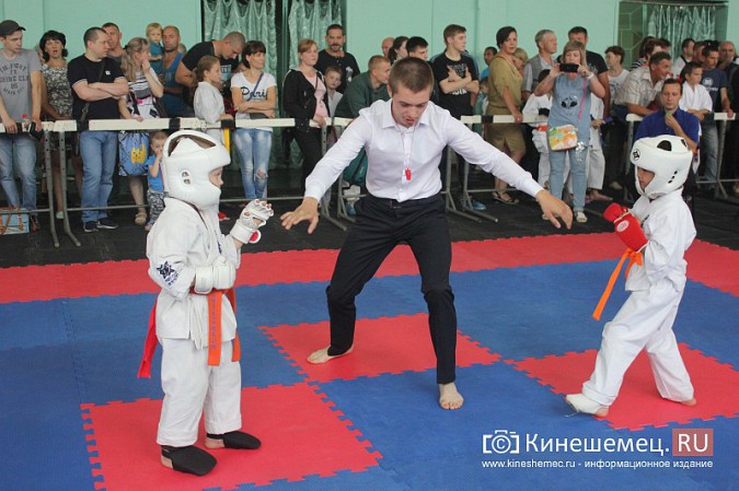 В Кинешме прошел открытый Чемпионат города по карате фото 14