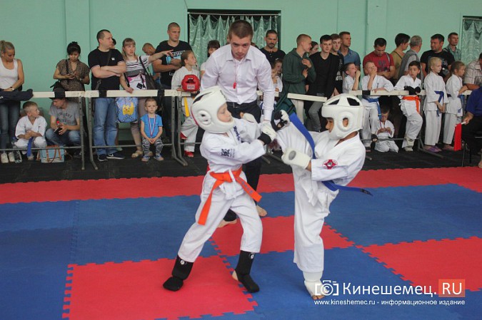 В Кинешме прошел открытый Чемпионат города по карате фото 21