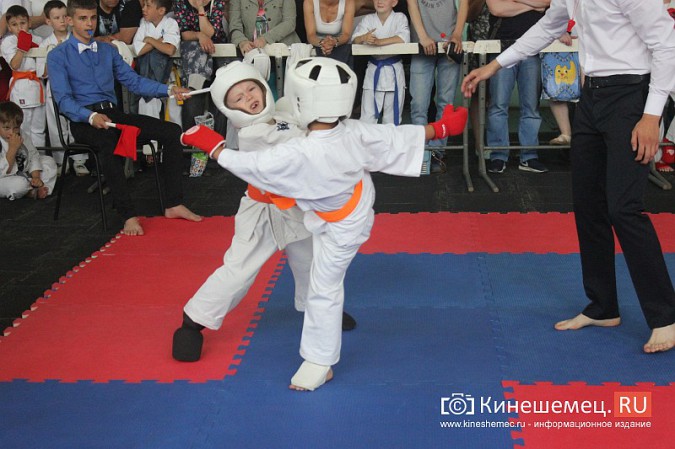 В Кинешме прошел открытый Чемпионат города по карате фото 19