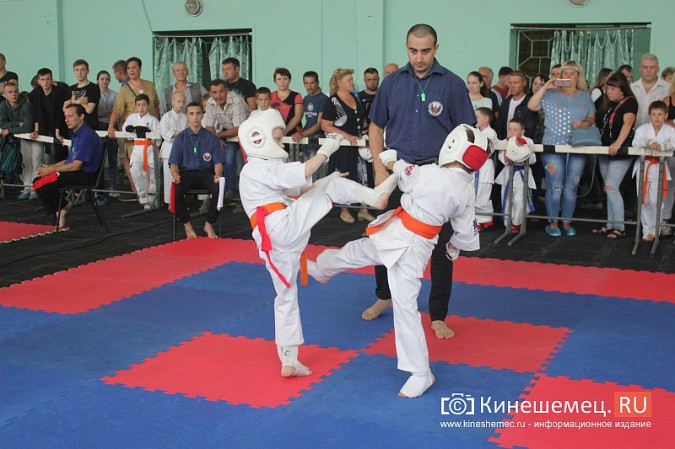 В Кинешме прошел открытый Чемпионат города по карате фото 13