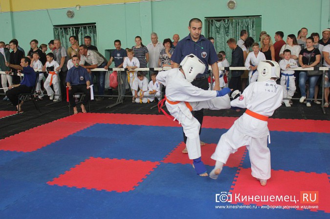 В Кинешме прошел открытый Чемпионат города по карате фото 22