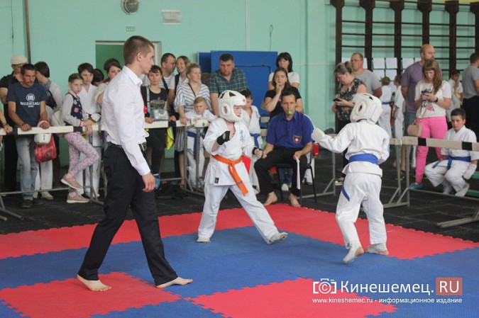 В Кинешме прошел открытый Чемпионат города по карате фото 25