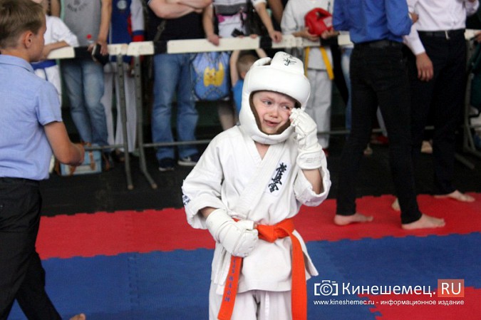 В Кинешме прошел открытый Чемпионат города по карате фото 17