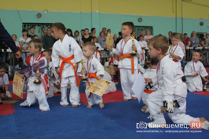 В Кинешме прошел открытый Чемпионат города по карате фото 10