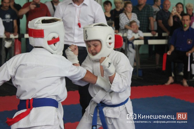 В Кинешме прошел открытый Чемпионат города по карате фото 36